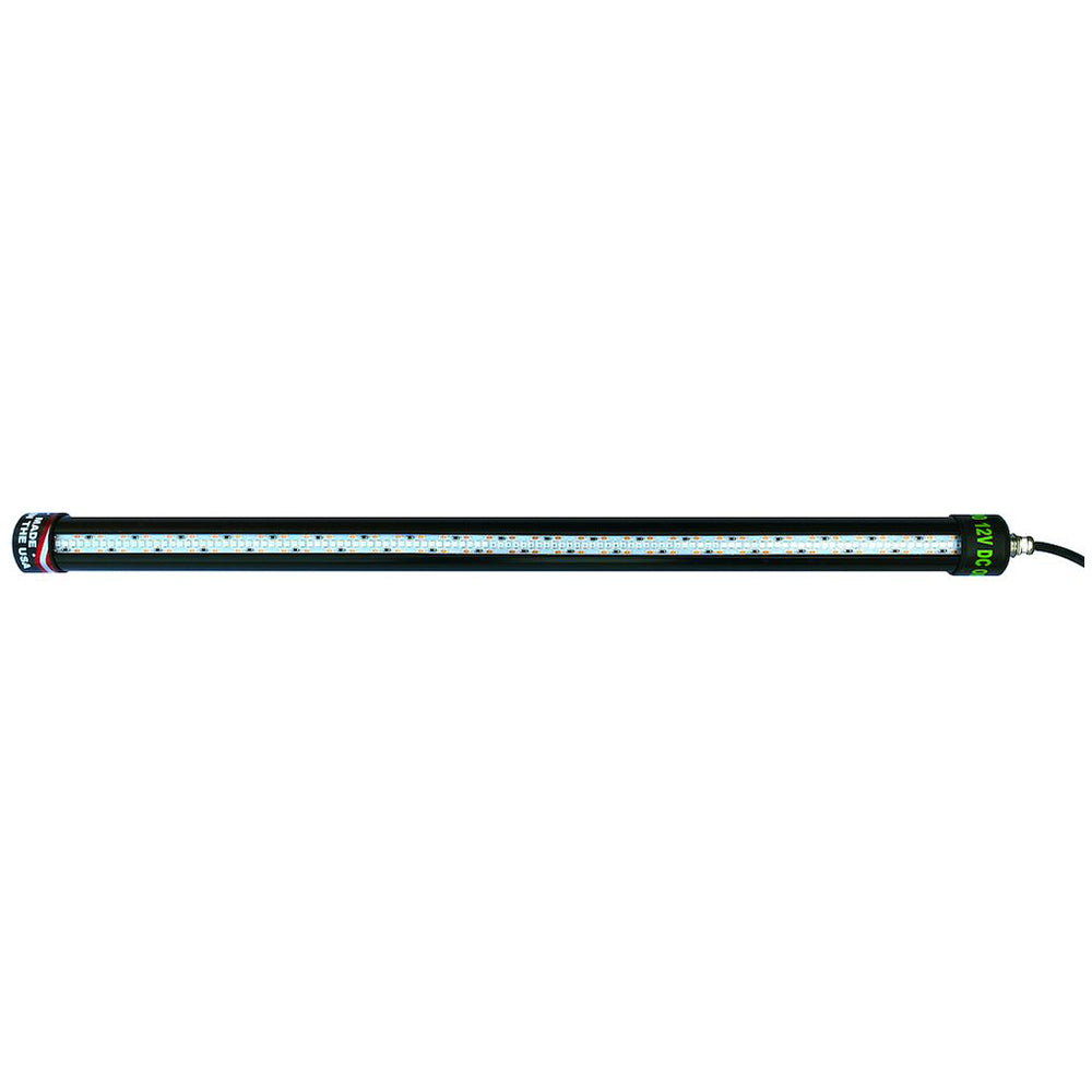 Hunting & Fishing - Fishing Accessories